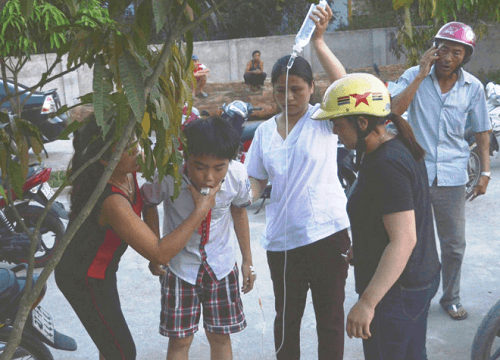 Nghệ An: Ban hành công văn khẩn chống ngộ độc từ cây ngô đồng trong trường học