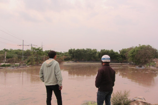 Ninh Thuận: Ô nhiễm môi trường do Nhà máy chế biến tinh bột mì