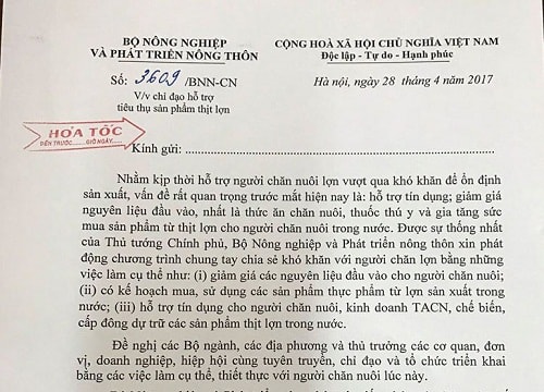 Lập đường dây nóng tiếp nhận ý kiến giải cứu thịt lợn