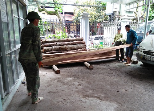 Xã Minh Tân (Hà Giang): Tạm giữ 3,72 m3 gỗ nghiến cất trữ trái quy định