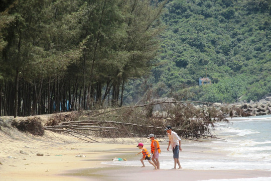 Nước biển xâm thực ở Bình Định: 20 hộ dân kêu trời mà chưa được giải quyết?