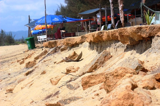 Bình Định: Bãi tắm bị xóa sổ do bờ biển sạt lở