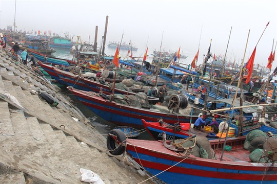 Hà Tĩnh: Tàu mắc cạn vì cảng cá bị bồi lắng