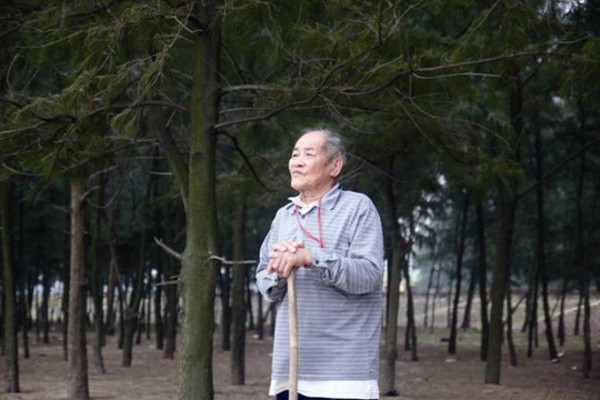 Hà Tĩnh: Ông cụ 90 tuổi cần mẫn trồng phi lao chắn sóng