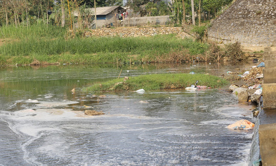 Phú Thọ: Nước ô nhiễm, tôm cá không sống được mà người dân vẫn phải sinh hoạt