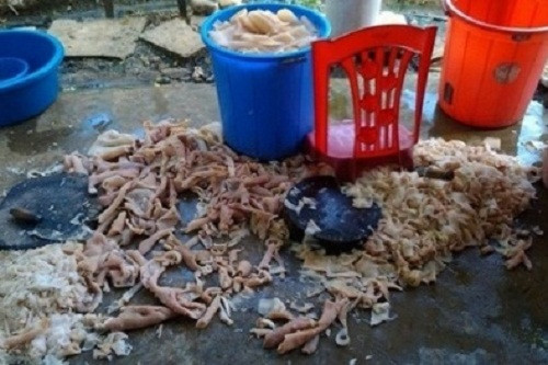 Hưng Yên: Bắt tại trận 4 tấn bì lợn bẩn chuẩn bị bán ra thị trường