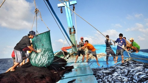 Khai thác hải sản xa bờ ở 4 tỉnh miền Trung phục hồi khoảng 80%