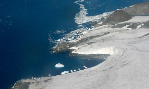 Nam Cực sắp biến thành rừng xanh do biến đổi khí hậu?