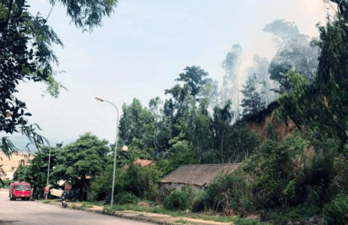 Quảng Ninh: Cháy rừng ở Bãi Cháy