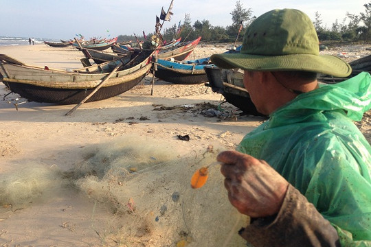 Quảng Trị: Tàu giã cào phá biển, hại dân