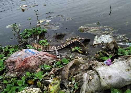 Choáng với rác thải trong hồ công viên Yên Sở