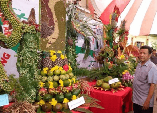 Cần Thơ: Khai mạc Ngày hội du lịch vườn trái cây Tân Lộc