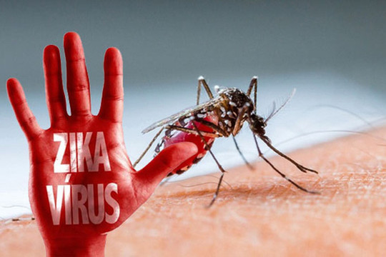 Thai phụ nhiễm virus Zika vẫn sinh con khỏe mạnh
