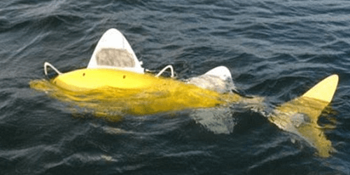 Robot cá phát hiện nước ô nhiễm
