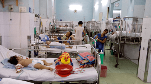 TP.Hồ Chí Minh: Hơn 7.000 ca nhập viện do sốt xuất huyết trong 5 tháng