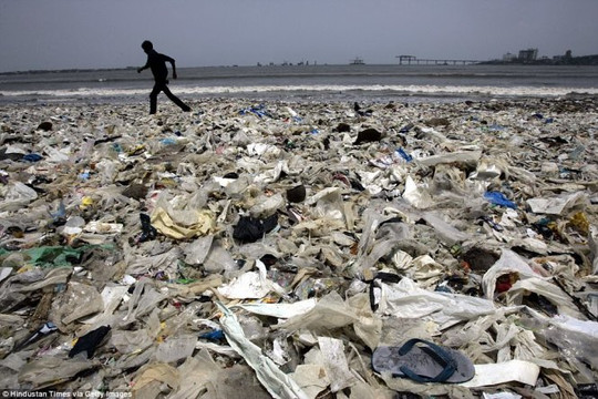 Ấn Độ: Người dân chung tay dọn sạch 5.000 tấn rác ở bờ biển