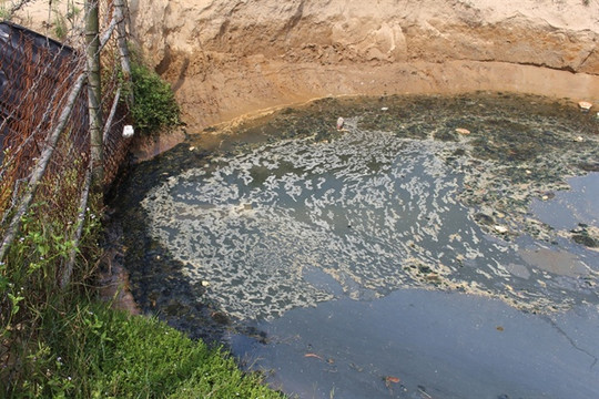 Hà Tĩnh: Khốn khổ sống cạnh hồ tôm gây ô nhiễm