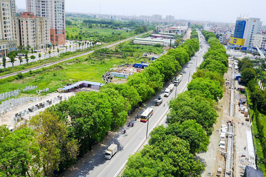 Vụ chặt 1.300 cây xanh ở Hà Nội: Tại sao không xin ý kiến người dân?