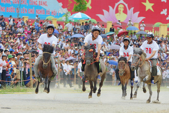 Lào Cai: Sắp diễn ra Giải đua ngựa truyền thống huyện Bắc Hà năm 2017