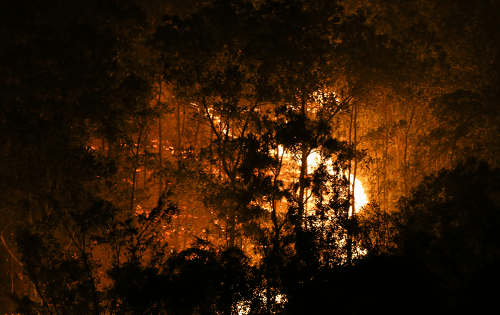 Cháy rừng phòng hộ ở Sóc Sơn trong đợt Hà Nội đạt “đỉnh” nắng nóng