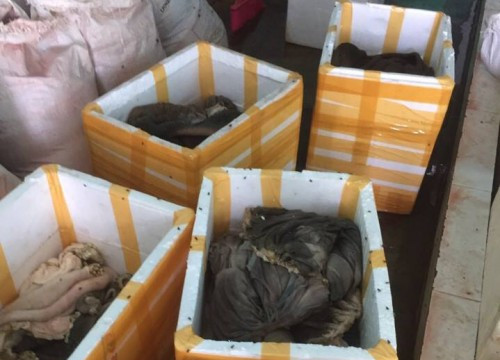 Đà Nẵng: Bắt cơ sở chế biến 900 kg nội tạng động vật
