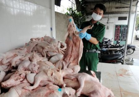 Gần 60kg thịt gia cầm không rõ xuất xứ bị tiêu hủy