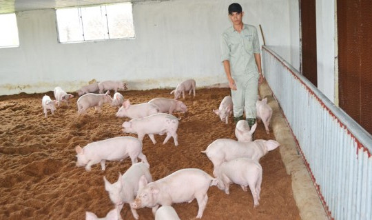 Việt Nam gặp nhiều rào cản trong việc xuất khẩu sản phẩm thịt