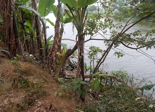 Thừa Thiên – Huế: Sạt lở sông Như Ý đe dọa cuộc sống người dân