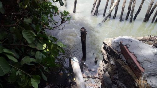Bà Rịa – Vũng Tàu: Công ty lắp ống dài 300m để xả trộm nước thải ra rạch