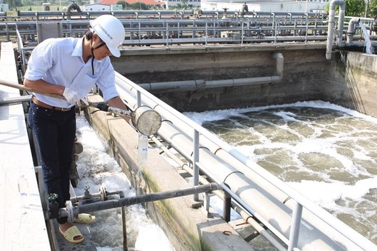 Thử nghiệm công nghệ Nhật Bản xử lý mùi hôi từ các nhà máy chế biến bột cá