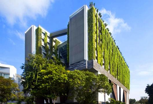 Phát triển kiến trúc xanh để giảm ô nhiễm môi trường
