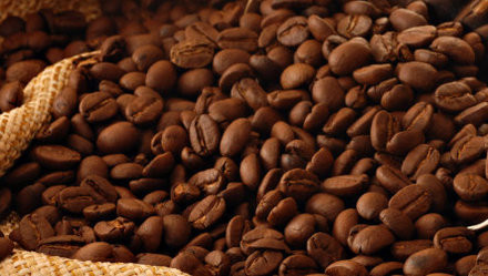 Lâm Đồng: Phạt ​400 triệu, công ty cà phê xả thải vượt quy định