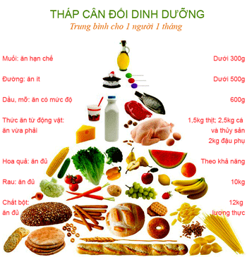 Một bữa ăn hợp lý cần có những thực phẩm nào?