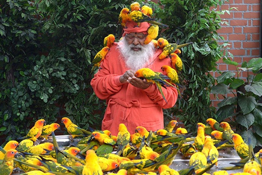 Ấn Độ: Khu vườn sở hữu 2100 cá thể chim tự nhiên đạt kỷ lục Guiness