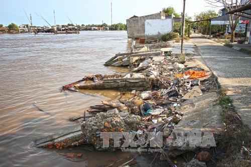 Cà Mau: Cần giải pháp chống sạt lở trong mùa mưa bão