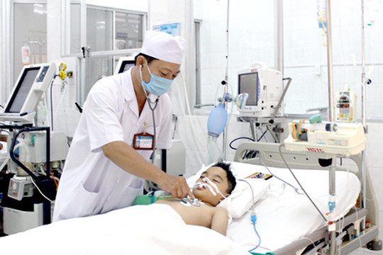 TP.HCM: Xuất hiện nhiều ca mắc bệnh viêm não Nhật Bản nặng