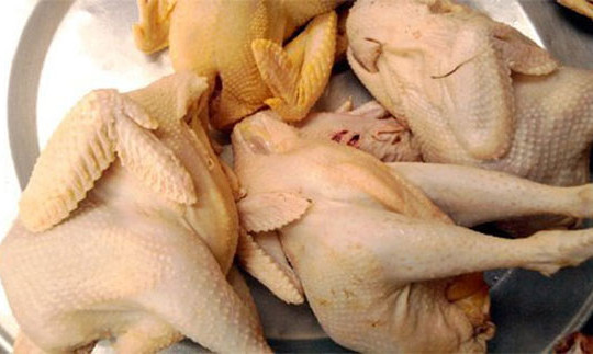 Truy tìm nguồn gốc gà ri 60 nghìn một con ở Hà Nội