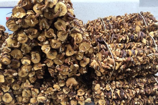 Hà Nội: Hơn 1.400 thùng nấm hương, mộc nhĩ không có tem nhãn bị phát hiện