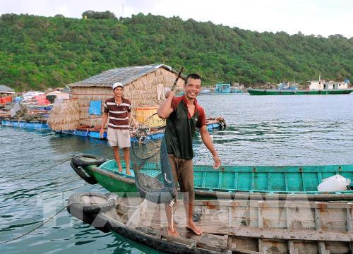 Kiên Giang: Khai thác thủy sản thành ngành kinh tế chủ lực của tỉnh