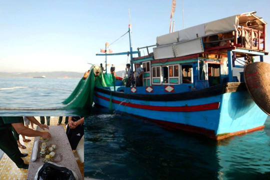 Mang 2,1 kg thuốc nổ đi đánh cá trên biển Vĩnh Tân