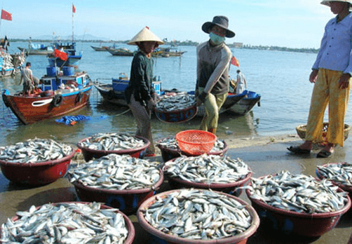 4 tỉnh miền Trung tiếp tục dừng khai thác hải sản ở vùng đáy