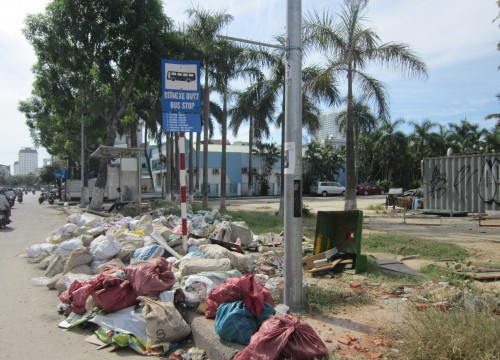TP. Đà Nẵng: Công viên 29/3 nhếch nhác đầy rác thải
