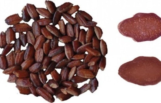 Trung Quốc lai tạo thành công gạo tím giúp chữa ung thư