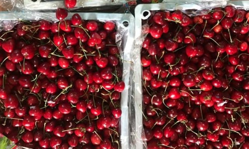 Cảnh báo Cherry Trung Quốc giá rẻ giao bán ngập trên chợ mạng