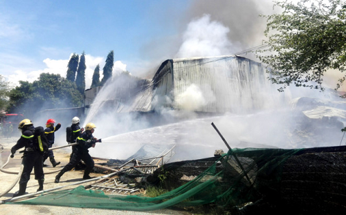 Ninh Thuận: Cháy lớn thiêu rụi nhà máy chế biến bã mía rộng gần 1.000m2