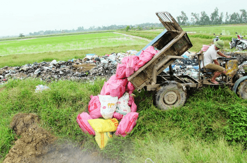 Hà Nam: Tiêu huỷ hơn 1.000 con ngan, vịt nhiễm cúm A/H5N1