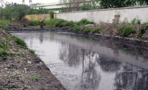 Xử lý nghiêm các cơ sở gây ô nhiễm tại Cụm công nghiệp Tân Hồng – Bình Giang