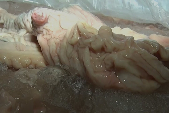 Lai Châu: Phát hiện gần 200kg nội tạng động vật thối