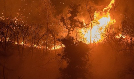 Bắc Mỹ: Ban bố tình trạng khẩn cấp tình trạng cháy rừng