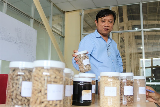 Tây Ninh: Chế biến, xuất khẩu thức ăn chăn nuôi từ phụ phẩm nông nghiệp